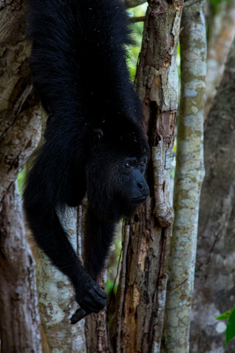 Belize008