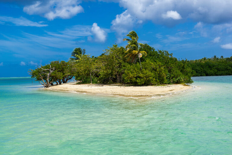 No Mans Land  Tropical Beach,
Tobago,
Republic of Trinidad and Tobago, 
Southern Caribbean