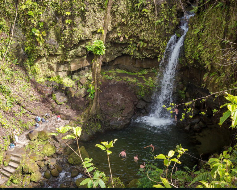 Dominica 08