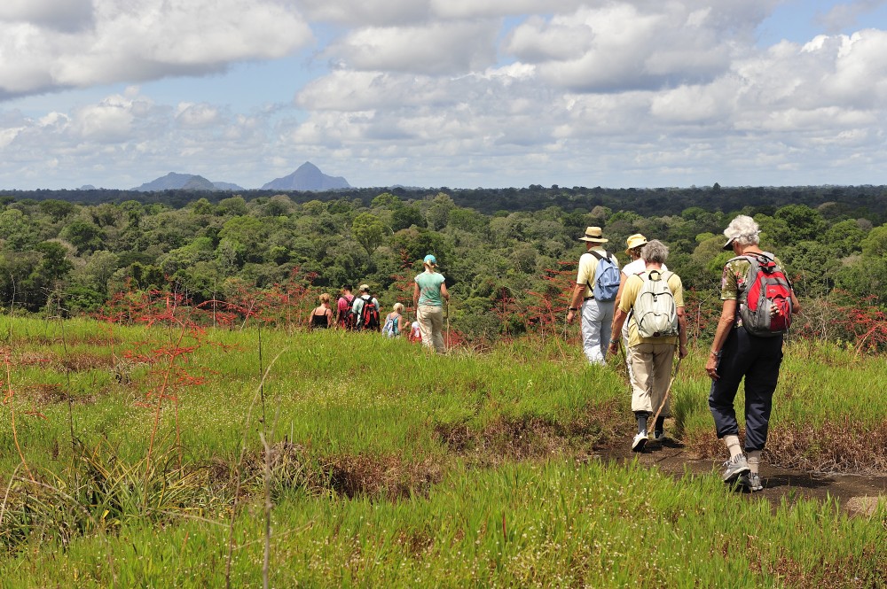 Suriname 12